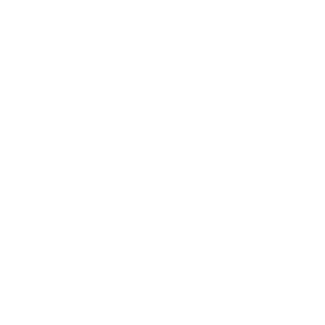 Logo: Hammond Middle School mascot