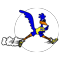 Logo: Northfield Elementary School mascot